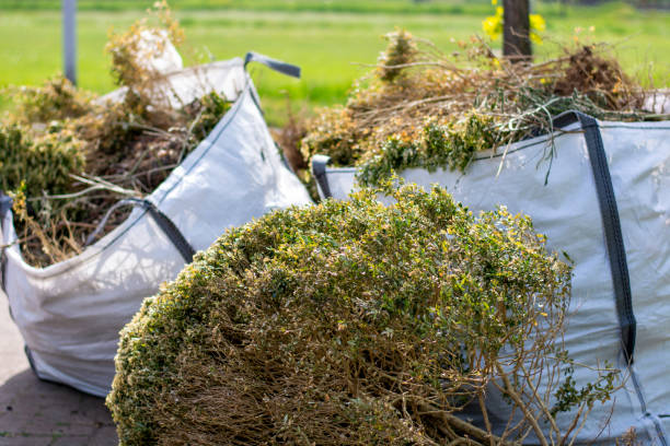 Best Trash Removal Near Me  in Monroeville, AL